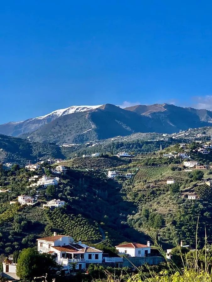 Casandalusi Frigiliana 0*,